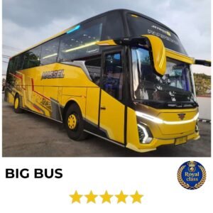 big bus royal class